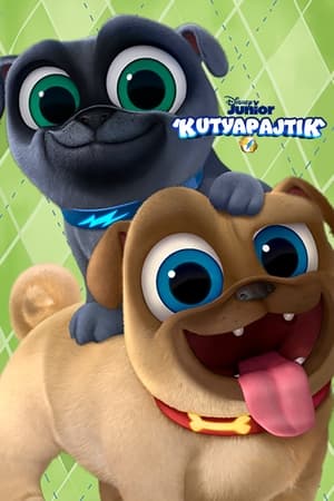 Puppy Dog Pals, Puppy Playcare poster 2