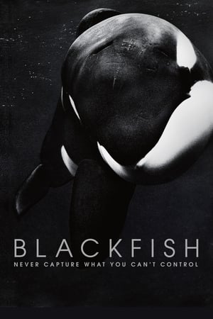 Blackfish poster 4