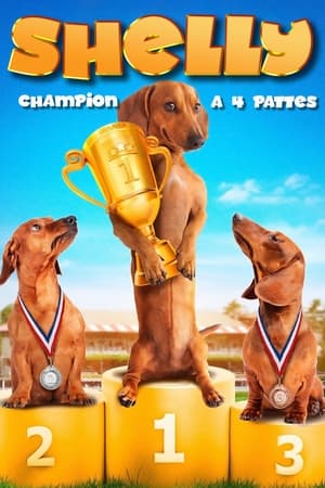 Wiener Dog Nationals poster 3