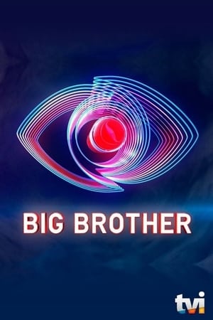 Big Brother, Season 13 poster 1