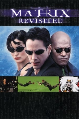 The Matrix: Revisited poster 3
