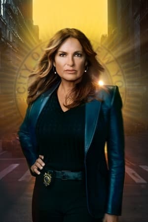 Law & Order: SVU (Special Victims Unit), Season 16 poster 0