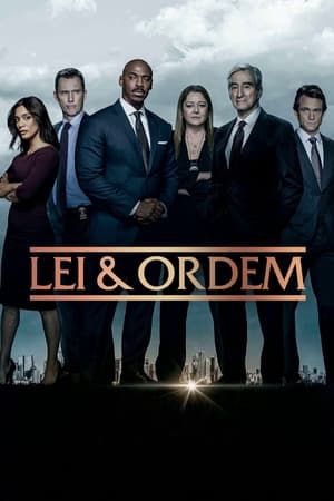 Law & Order, Season 17 poster 3