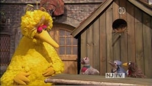 Sesame Street, Selections from Season 42 - The Good Birds Club image