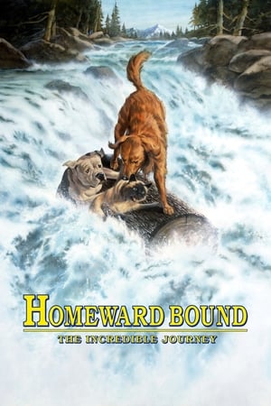 Homeward Bound: The Incredible Journey poster 1