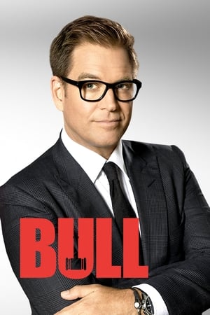 Bull: The Complete Series poster 0