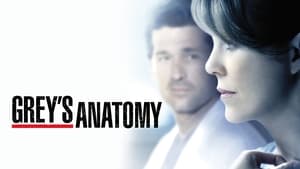 Grey's Anatomy, Season 16 image 3
