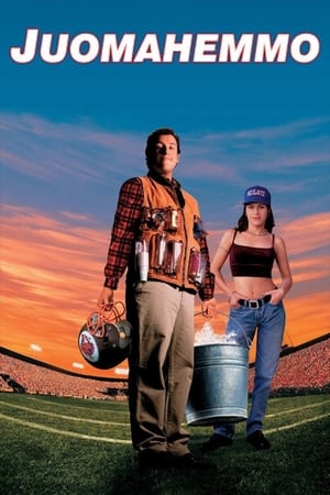 The Waterboy poster 3