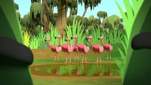 The Octonauts, Season 4 - Octonauts and the Flamingos image