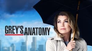 Grey's Anatomy, Season 4 image 1