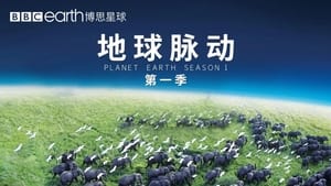 Planet Earth, The Complete Collection image 2