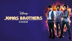 Jonas Brothers Concert image 6