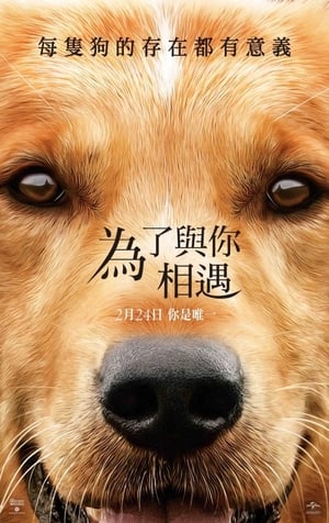 A Dog's Purpose poster 3