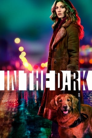 In the Dark, Season 1 poster 1