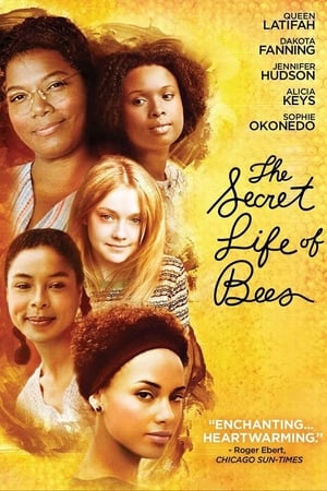The Secret Life of Bees poster 4