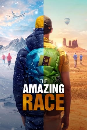 The Amazing Race, Season 15 poster 3