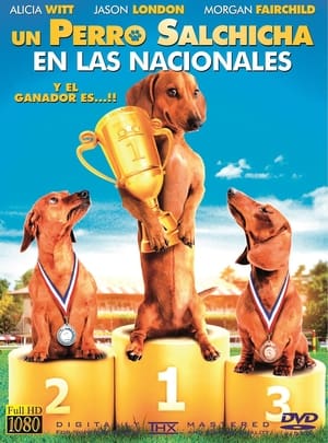 Wiener Dog Nationals poster 1