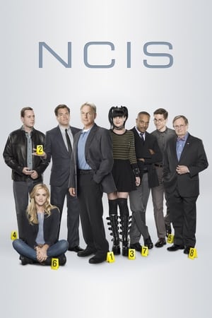 NCIS, Season 11 poster 2