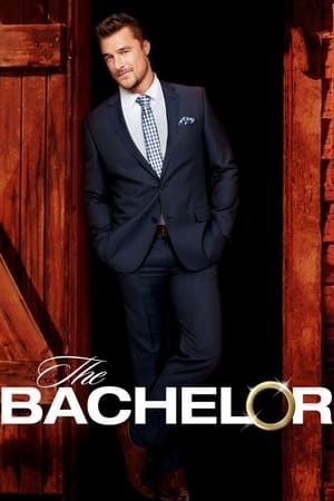 The Bachelor, Season 19 poster 0