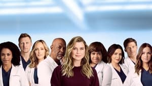 Grey's Anatomy, Season 17 image 1