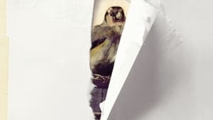 The Goldfinch image 7