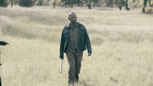 Fear the Walking Dead, Season 4 - Weak image