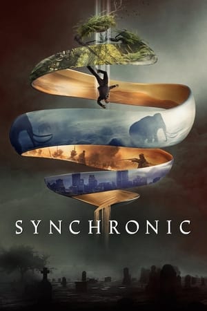 Synchronic poster 4