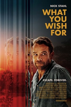 What You Wish For poster 3