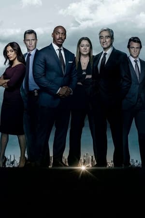 Law & Order, Season 22 poster 3