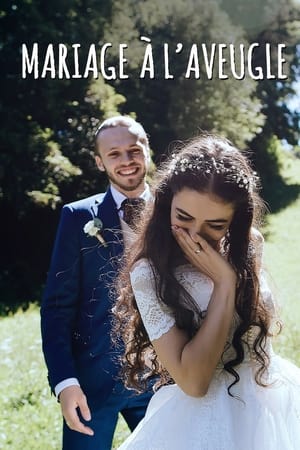 Married at First Sight, Season 1 poster 2