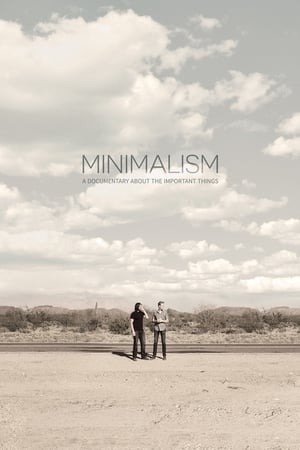 Minimalism: A Documentary About the Important Things poster 1