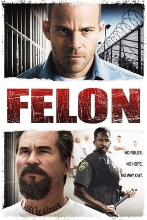 Felon poster 1