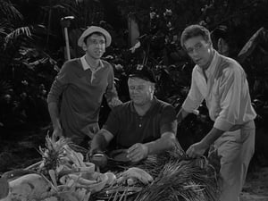 Gilligan's Island, Season 1 - Goodnight Sweet Skipper image