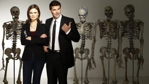 Bones, Season 9 image 1