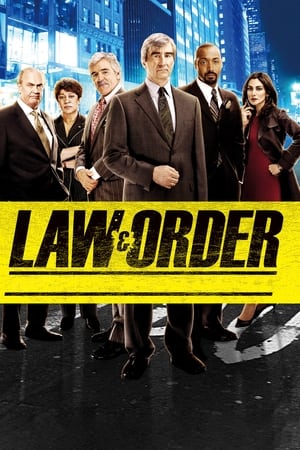 Law & Order, Season 21 poster 3