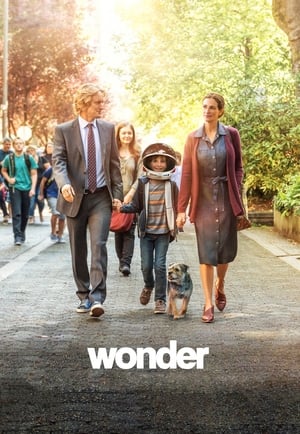Wonder poster 3
