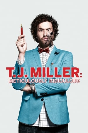 T.J. Miller: Meticulously Ridiculous poster 2