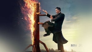 Ip Man 4: The Finale image 6