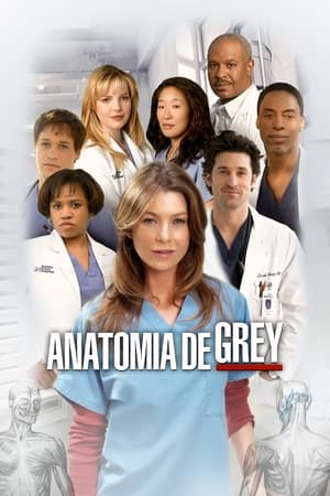 Grey's Anatomy, Season 19 poster 1