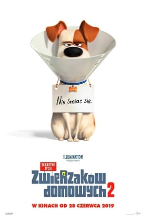 The Secret Life of Pets 2 poster 4