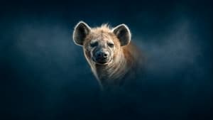 Dynasties, Season 2 - Hyena image
