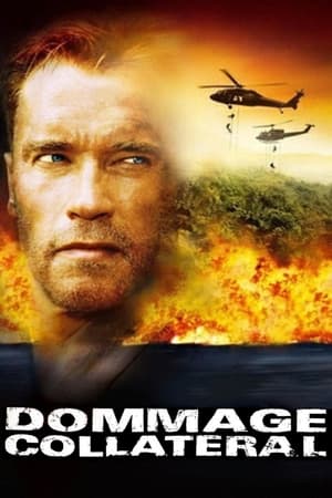 Collateral Damage poster 1