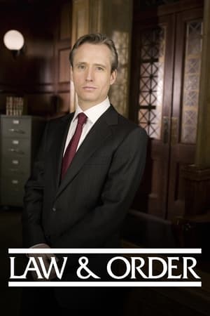 Law & Order, Season 20 poster 3