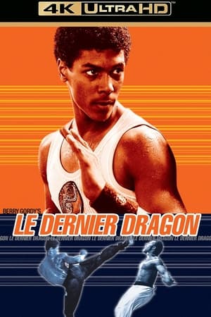 The Last Dragon poster 1