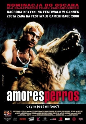 Amores Perros poster 1
