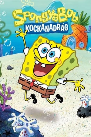 SpongeBob SquarePants, Vol. 20 poster 0