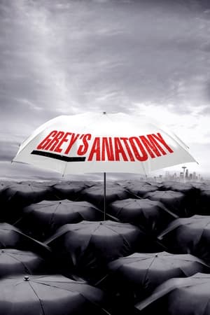 Grey's Anatomy, Season 17 poster 1
