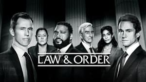 Law & Order, Season 23 image 0