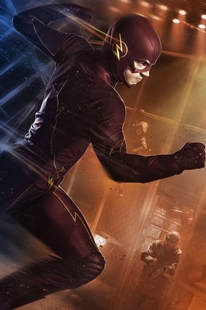 The Flash, Season 9 poster 0