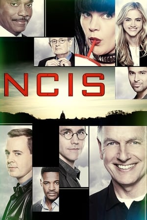 NCIS, Season 18 poster 2